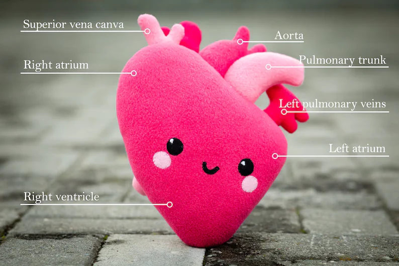 Heart Kawaii plush Anatomical Heart Kawaii plush Handmade soft decoration Heart plushie 11 in x 8.5 in