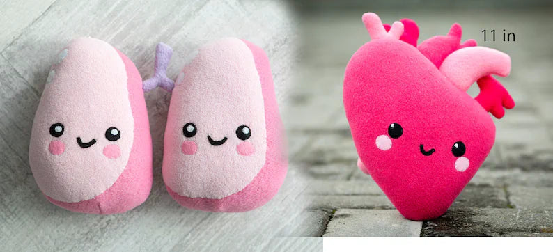 Heart Kawaii plush Anatomical Heart Kawaii plush Handmade soft decoration Heart plushie 11 in x 8.5 in